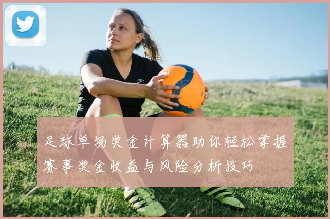 足球单场奖金计算器助你轻松掌握赛事奖金收益与风险分析技巧